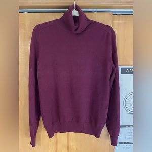 True Burgundy Super Luxe Baby Cashmere Turtleneck Sweater by Quince